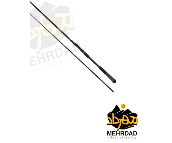 چوب ماهیگیری اسپینینگ دایوا (DAIWA RX ) | مدل RX602LFS-AF