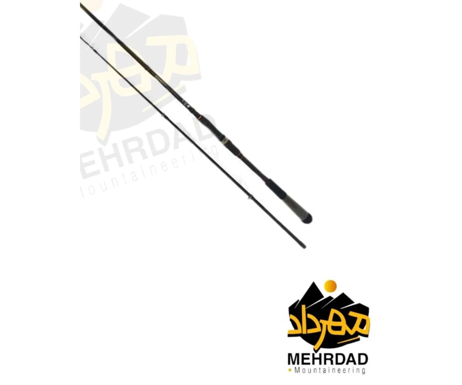 چوب ماهیگیری اسپینینگ دایوا (DAIWA RX ) | مدل RX602LFS-AF