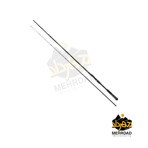 چوب ماهیگیری اسپینینگ دایوا (DAIWA RX ) | مدل RX602LFS-AF